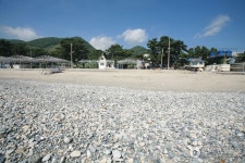 Gwanseong Solbat Beach (관성솔밭해변) - Sightseeing - Korea travel and tourism information