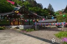 산림청 국립미천골자연휴양림 - 여행정보 |