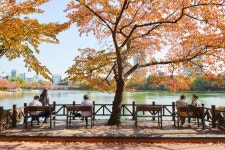 松坡ナル公園（石村湖）（송파나루공원（석촌호수）） - 観光 - 韓国旅行・観光情報