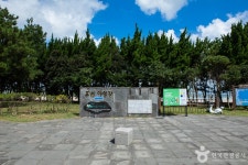 표선해수욕장 야영장 레저스포츠 정보와 주변 관광 명소 및 근처 맛집 여행 정보