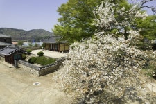Hongseong Jeongchungsa Shrine (정충사 (홍성)) - Sightseeing - Korea travel and tourism information