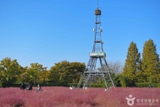 수도권매립지 야생화단지 드림파크 - 주변 여행 및 근처 관광 명소 - 국내 여행 정보와 관광 명소 정보