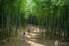 Ahopsan Forest (아홉산숲) - Sightseeing - Korea travel and tourism information