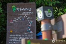 [평화누리길 3코스] 한강철책길 레저스포츠 정보와 주변 관광 명소 및 근처 맛집 여행 정보