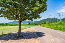 부용체육공원 관광 정보와 주변 관광 명소 및 근처 맛집 여행 정보