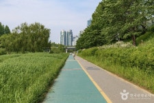 양재천 근린공원 관광 정보와 주변 관광 명소 및 근처 맛집 여행 정보