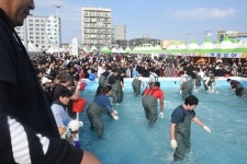 최남단 방어 축제 최신 축제 공연 행사 정보와 주변 관광 명소 및 근처 맛집 여행 정보