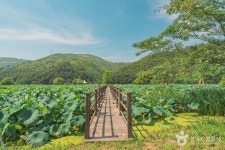 웅촌식육식당 - 주변 여행 및 근처 관광 명소 - 국내 여행 정보와 관광 명소 정보