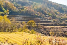 상황마을 관광 정보와 주변 관광 명소 및 근처 맛집 여행 정보