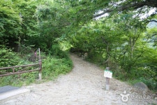 Jirisan National Park (Hamyang Section) (지리산국립공원(함양)) - Sightseeing - Korea travel and tourism information