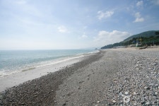 Gwanseong Solbat Beach (관성솔밭해변) - Sightseeing - Korea travel and tourism information