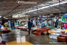 당골낚시터 - 주변 여행 및 근처 관광 명소 - 국내 여행 정보와 관광 명소 정보