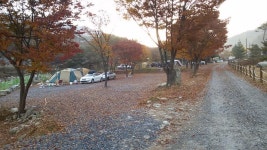 주막거리캠프 레저스포츠 정보와 주변 관광 명소 및 근처 맛집 여행 정보