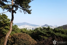 금용암(부산) 관광 정보와 주변 관광 명소 및 근처 맛집 여행 정보