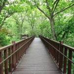 National Center for Forest Activities, Jangseong (국립장성숲체원) - Sightseeing - Korea travel and tourism information