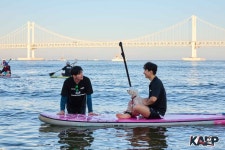 브라운도트호텔 서면범천점 - 주변 여행 및 근처 관광 명소 - 국내 여행 정보와 관광 명소 정보