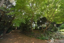 아리랜드 관광 정보와 주변 관광 명소 및 근처 맛집 여행 정보