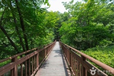 국립 용화산자연휴양림 관광 정보와 주변 관광 명소 및 근처 맛집 여행 정보