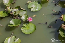 연화못(하가못) 관광 정보와 주변 관광 명소 및 근처 맛집 여행 정보