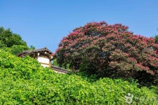 청암서원 관광 정보와 주변 관광 명소 및 근처 맛집 여행 정보