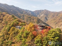 내장산국립공원 관광 정보와 주변 관광 명소 및 근처 맛집 여행 정보