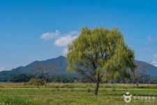 팔당물안개공원 관광 정보와 주변 관광 명소 및 근처 맛집 여행 정보