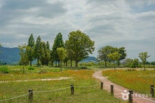 무릉일가 - 주변 여행 및 근처 관광 명소 - 국내 여행 정보와 관광 명소 정보