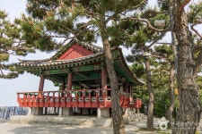 효사정 관광 정보와 주변 관광 명소 및 근처 맛집 여행 정보