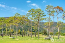 금소생태공원 관광 정보와 주변 관광 명소 및 근처 맛집 여행 정보