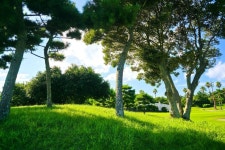 크라운컨트리클럽 레저스포츠 정보와 주변 관광 명소 및 근처 맛집 여행 정보