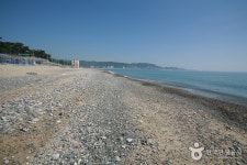 Gwanseong Solbat Beach (관성솔밭해변) - Sightseeing - Korea travel and tourism information