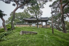 숲나들e - 여행정보 |
