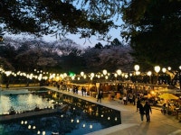  버스  춘천 남이섬   김유정 문학촌   닭갈비골목   농촌체험 (당일) : 인터파크투어 