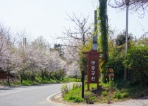그리움이 물들면 - 주변 여행 및 근처 관광 명소 - 국내 여행 정보와 관광 명소 정보