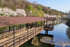 사르르목장 - 주변 여행 및 근처 관광 명소 - 국내 여행 정보와 관광 명소 정보