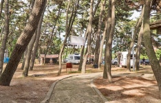 백일야영장 레저스포츠 정보와 주변 관광 명소 및 근처 맛집 여행 정보