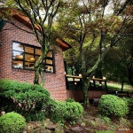 우드페커 - 주변 여행 및 근처 관광 명소 - 국내 여행 정보와 관광 명소 정보