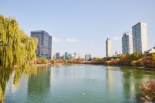 Songpa Naru Park (Seokchonhosu Lake) (송파나루공원 (석촌호수)) - Sightseeing - Korea travel and tourism information