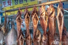 강릉 주문진종합시장 쇼핑 정보와 주변 관광 명소 및 근처 맛집 여행 정보