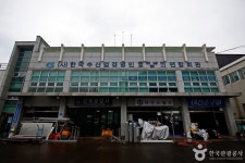 대천항 아인스월드 레저스포츠 정보와 주변 관광 명소 및 근처 맛집 여행 정보