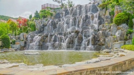 용인자작나무숲 관광 정보와 주변 관광 명소 및 근처 맛집 여행 정보
