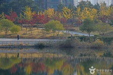 青羅湖水公園（청라호수공원） - 観光 - 韓国旅行・観光情報