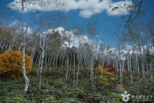 몽양여운형기념관 - 주변 여행 및 근처 관광 명소 - 국내 여행 정보와 관광 명소 정보