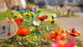 카카베이커리카페 - 주변 여행 및 근처 관광 명소 - 국내 여행 정보와 관광 명소 정보