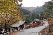 칼봉산자연휴양림 관광 정보와 주변 관광 명소 및 근처 맛집 여행 정보