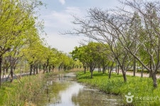 삼락생태공원 관광 정보와 주변 관광 명소 및 근처 맛집 여행 정보