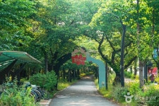 꽃보라동산 관광 정보와 주변 관광 명소 및 근처 맛집 여행 정보