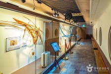 정동진시간박물관 문화 정보와 주변 관광 명소 및 근처 맛집 여행 정보