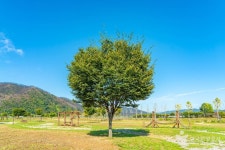 길안천지생태공원 - 주변 여행 및 근처 관광 명소 - 국내 여행 정보와 관광 명소 정보