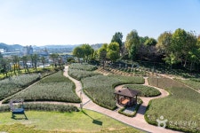 장성무궁화공원 - 주변 여행 및 근처 관광 명소 - 국내 여행 정보와 관광 명소 정보